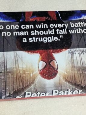 Handmade Spider-Man Peter Parker Quote 8" x 10" Wrapped Canvas Wall Art Decor